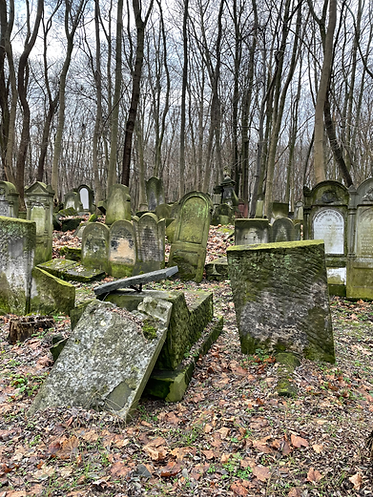 cimetière.HEIC