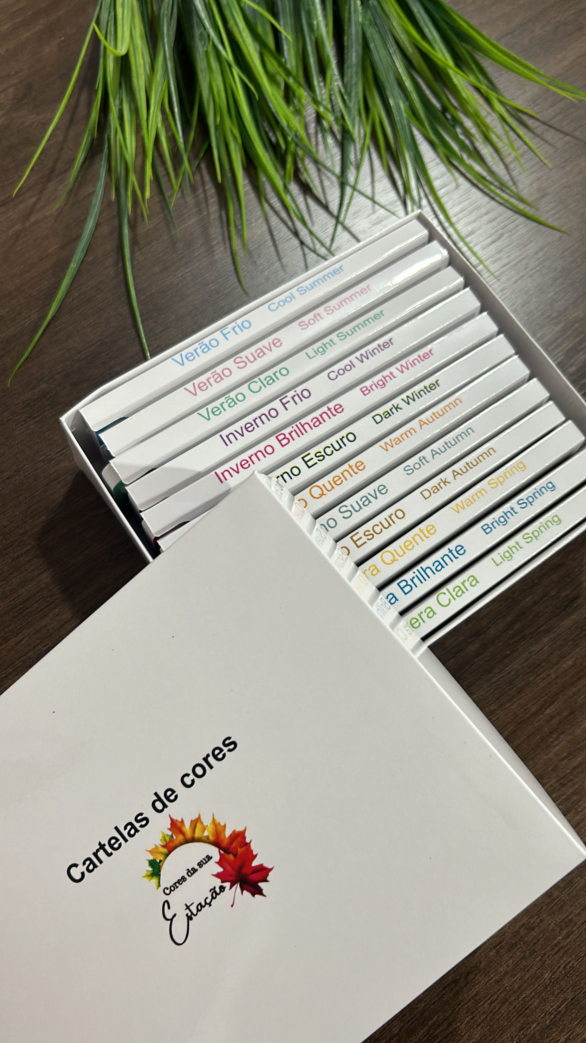 Embalagens para armazenamento de cartelas grandes - 15 cm