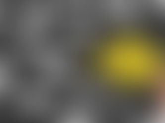 Gestão de Mudanças