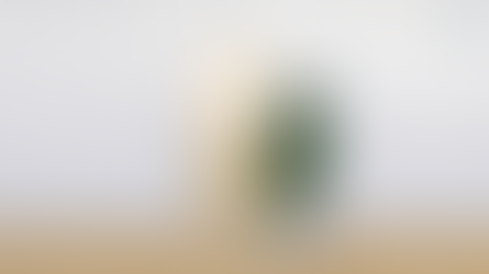 The Sims 4 Studded Mirror Recolour