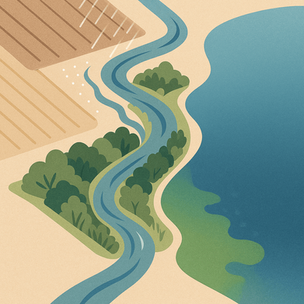 How Nutrient Runoff Causes Algae Blooms (and How to Stop It)
