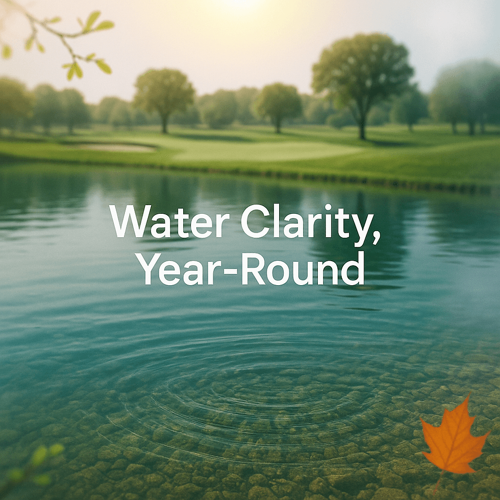 Maintaining Water Clarity in Golf Course Lakes Year-Round