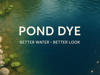 How Pond Dye Improves Water Quality and Aesthetics