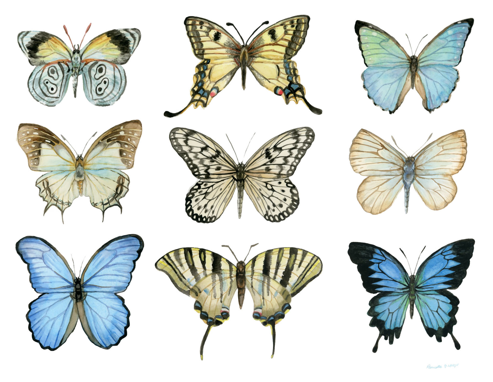 Blue Butterflies Print