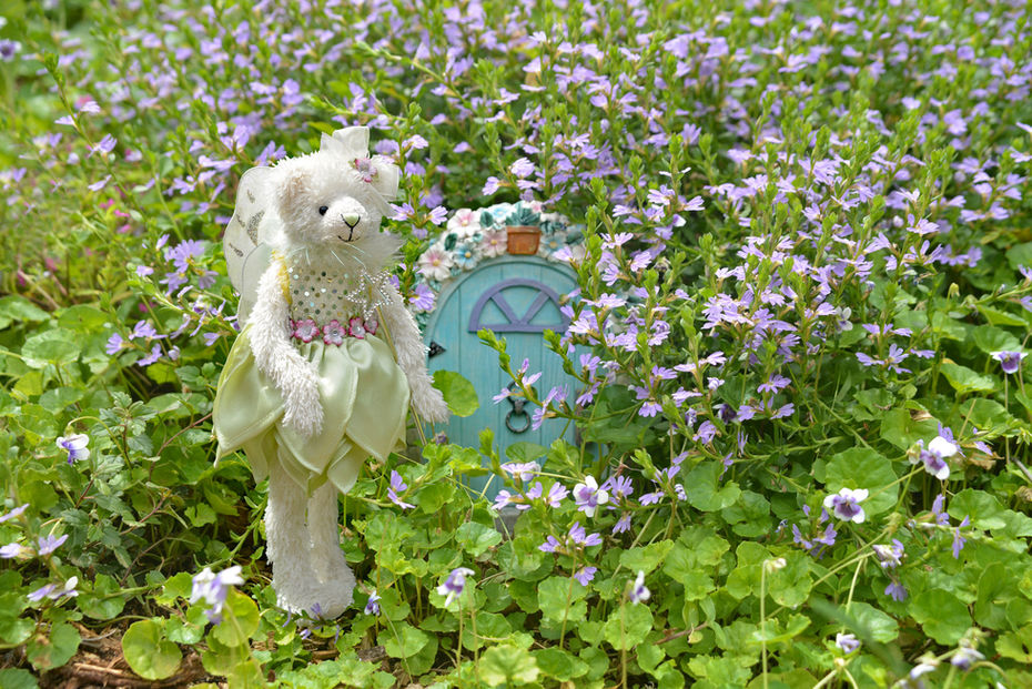 fairy teddy bear by garden door