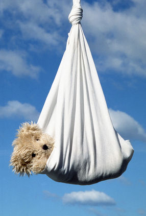 baby teddy bear arrives