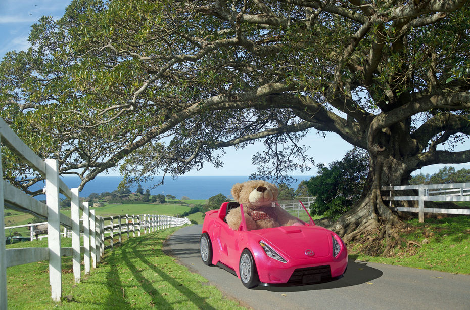 teddy bear driving car
