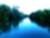 Habitats - Des Plaines River.JPG