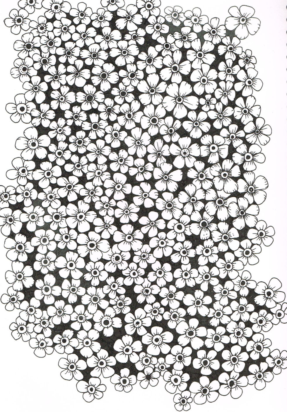 Black and white ink drawing of forget me nots