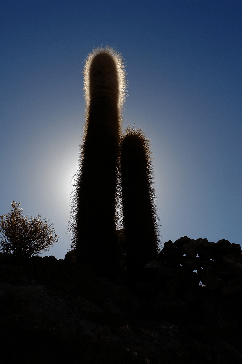 salar-uyuni-772710_1920