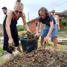 Making good compost is key to cultivating healthy plants & trees