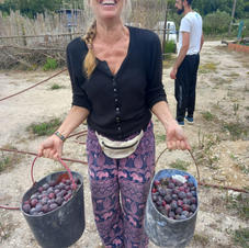 Smiles as gather an abundance of plums & fruits