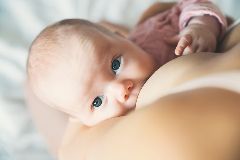 AdobeStock_178884485.jpeg