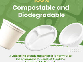 Why Eco-Friendly Compostable Single-Use Disposables are the Responsible Choice for Global Citizens