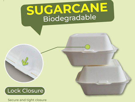 Embracing Sustainability: Lock Closure with Eco-Friendly Sugarcane Bagasse Takeaway Clamshell Bento Boxes