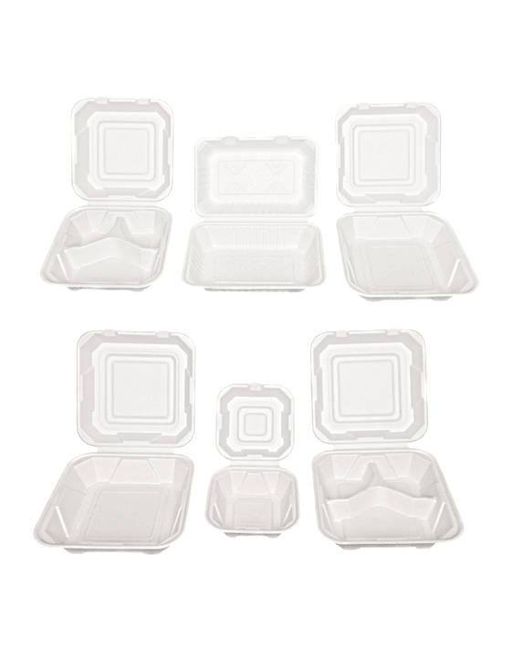 Group_Clamshell-6317-Edit - Bleached (1) (1).png