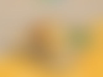 Indulging in the Rainy Season Cravings: Savoring Vadapav on Eco-Friendly Sugarcane Bagasse Plates