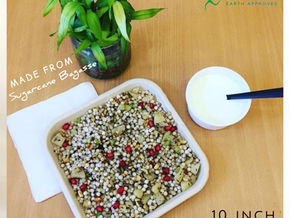 Exploring the Versatility of the 10-inch Eco-Friendly Square Plate