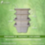 Range of Sugarcane Bagasse Takeaway Containers