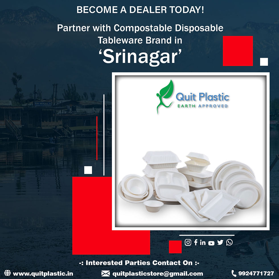 Quit Plastic: Making Heaven on Earth Plastic Free with Eco-Friendly Disposable Business Opportunity in Srinagar