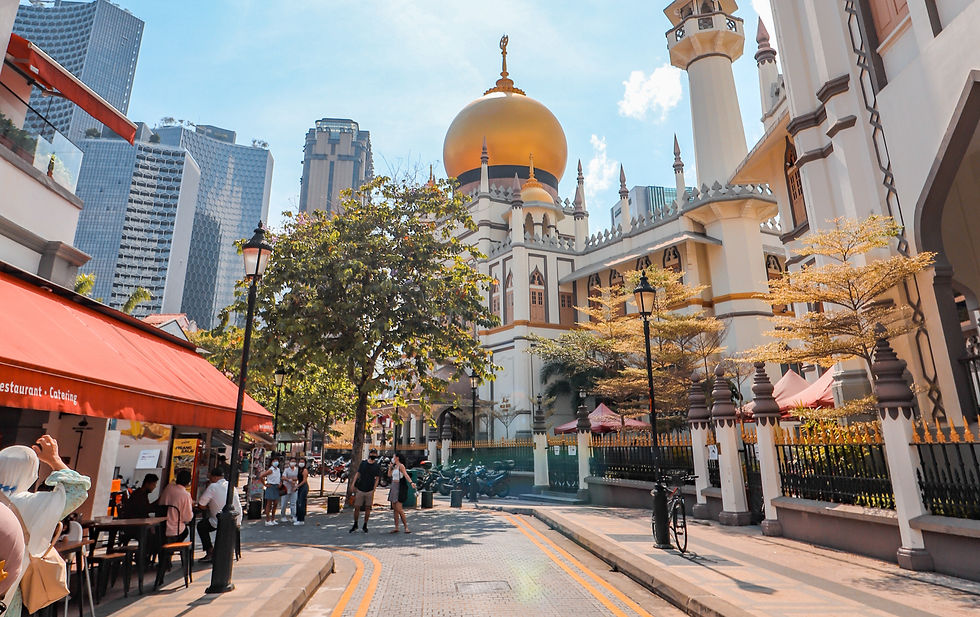 A compelling image of plastic waste accumulating along Oman's coastline, illustrating the country's rising challenge with mismanaged plastic waste per person projected for 2024.