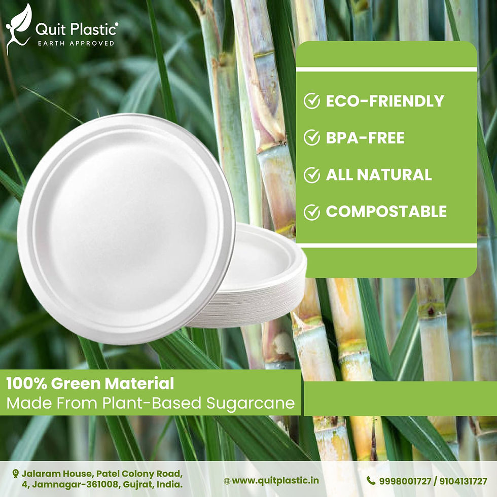 Embracing Eco-Friendly Dining: The Benefits of BPA-Free Plates