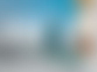 Making Plastic-Free Dubai: Exporting Eco-Friendly Sugarcane Bagasse Disposable Tableware from India to the UAE