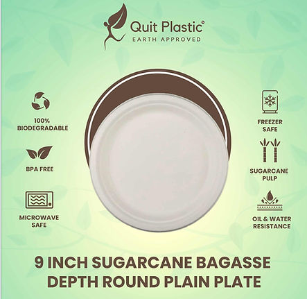 Sugarcane Bagasse 9 inch depth plain plate 3.jpg