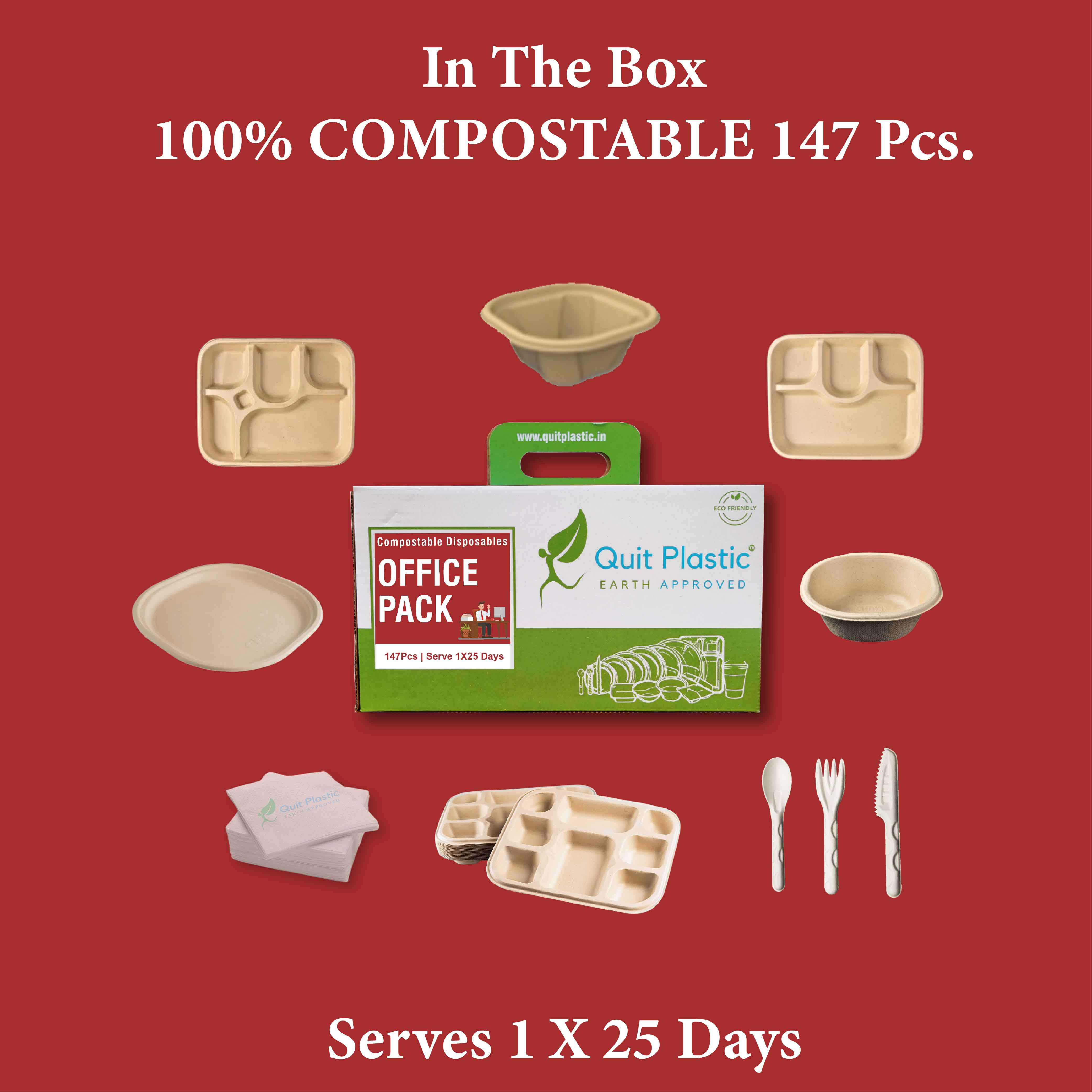Eco friendly Disposables Office Dinner Set
