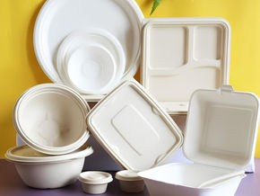 Sugarcane Bagasse Tableware for Resorts: Eco-Friendly, Biodegradable & Luxury Disposable Dining Ware