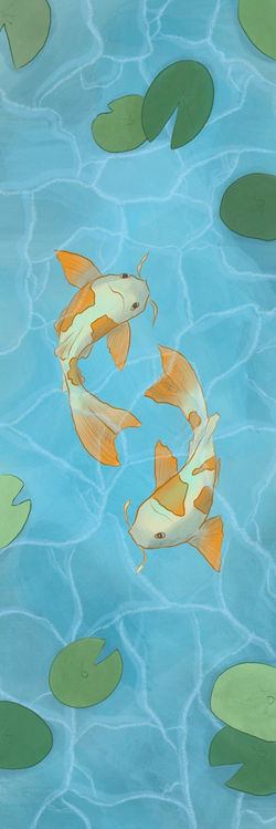 Koi Fish pond