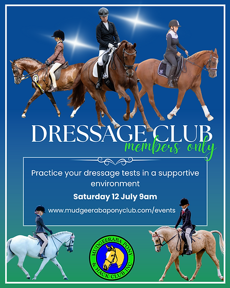Dressage Club (2).png
