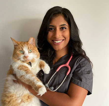 e15cc2f8-5be6-47e3-8069-d23cb8a25060_edi