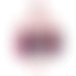 Boulogne vs Le Mans FC : Le Labo