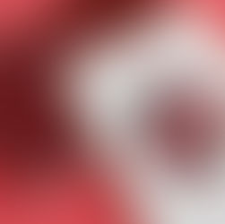 Borgo, le miraculé du National