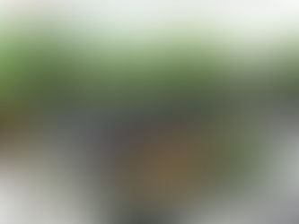 リライフ分譲地のご案内!