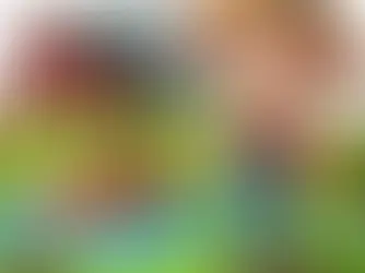 ⚠️ Як не втратити свою ферму