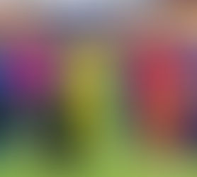 പതിനേഴാം സീസണിൽ റോയൽ ചലഞ്ചേഴ്സ് ബാംഗ്ലൂർ പുതിയ പേരിൽ