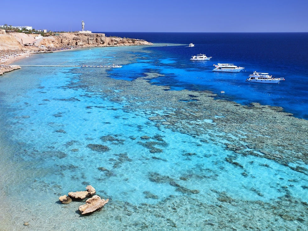 SPECIALE FERRAGOSTO SHARM EL SHEIKH DA NAPOLI 15 GIORNI DA 899.00 X PERSONA