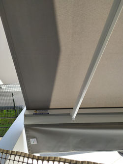 108285312_619914598623567_63231778924553