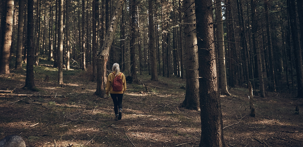 Donna che cammina nella foresta