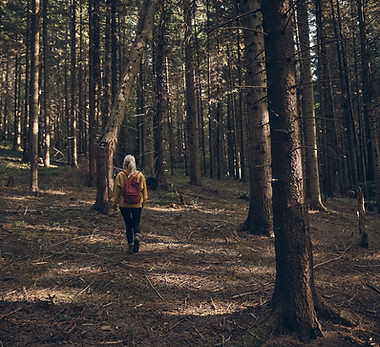 Wanderer im Wald