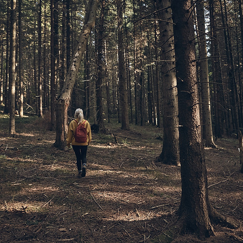 Woman Walking in Forest