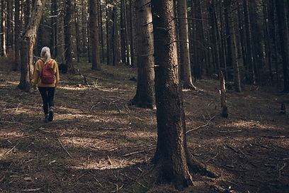 Frau, die in Wald geht