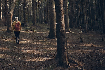 Frau, die in Wald geht