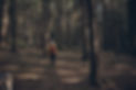 Woman Walking in Forest