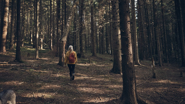 Frau, die in Wald geht 