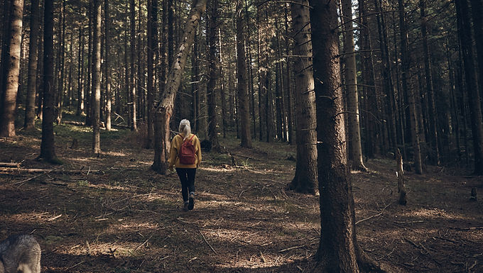 Woman Walking in Forest