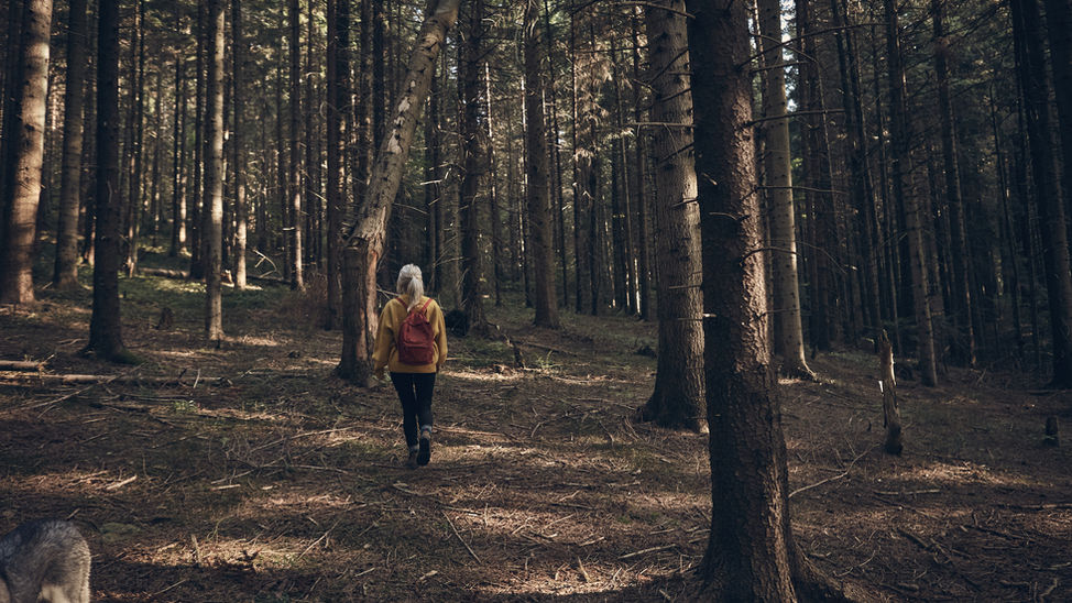 Frau, die in Wald geht 