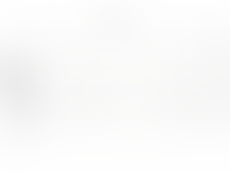 11月のスケジュール